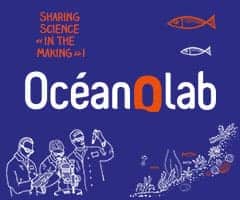 A new visitor space at Océanopolis: Océanolab now open!