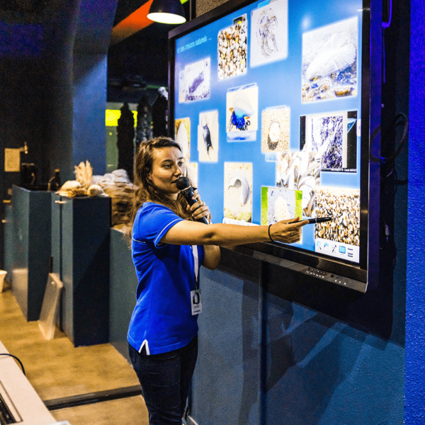 Minilab du pavillon Bretagne à Océanopolis