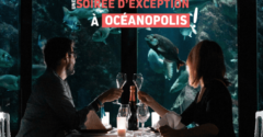 [COMPLET] Votre soirée de St Valentin à Océanopolis