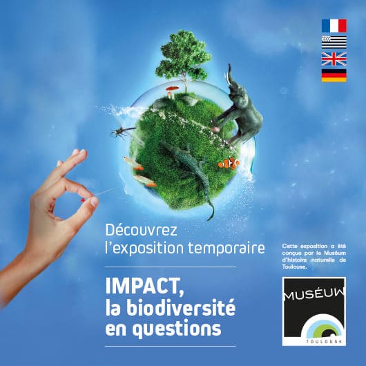 Visuel expo IMPACT