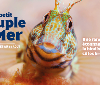 Nos animations de l’été 2025