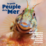 Découvrez en plus sur le programme des animations de l’été