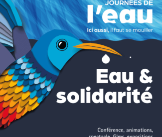 L’eau, les idées reçues et la science : comment distinguer le vrai du faux ? 