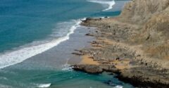 Année de la mer : quels enjeux pour l’océan en 2025 ?