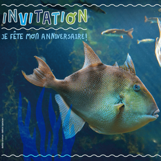 Visuel anniversaire 2025