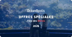 Fête des mères & Fête des pères :  idées cadeaux à Brest