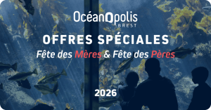 Visuel fête des mères et fête des pères 2026 promotions et offres en boutique à Océanopolis Brest