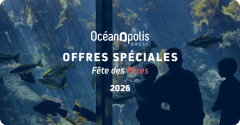 Fête des mères & Fête des pères :  idées cadeaux à Brest