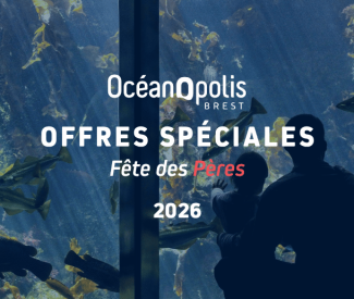 Fête des mères & Fête des pères :  idées cadeaux à Brest