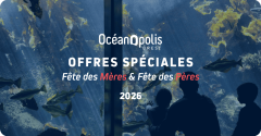 Fête des mères & Fête des pères :  idées cadeaux à Brest