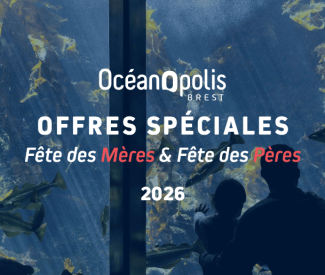 Fête des mères & Fête des pères :  idées cadeaux à Brest