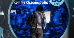 Offre anniversaire Océanopolis : votre visite gratuite si vous avez 35 ans au 21 juin 2025 !