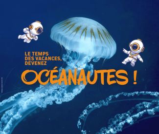 Animations des vacances de la Toussaint