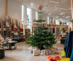 Soirée de Noël à la boutique d’Océanopolis : des idées de cadeaux pour tous, inspirés par l’océan !