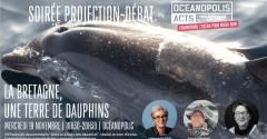 Projection-débat : la Bretagne, une terre de dauphins