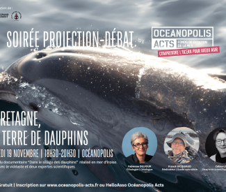 Projection-débat : la Bretagne, une terre de dauphins