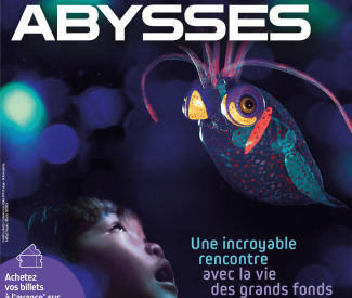 Animations des vacances d&rsquo;hiver : À la découverte des abysses