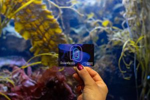 Photo devant un aquarium d'une carte d'abonnement à Océanopolis Brest, un aquarium sur Brest, au Port de Plaisance du Moulin Blanc, en Bretagne.