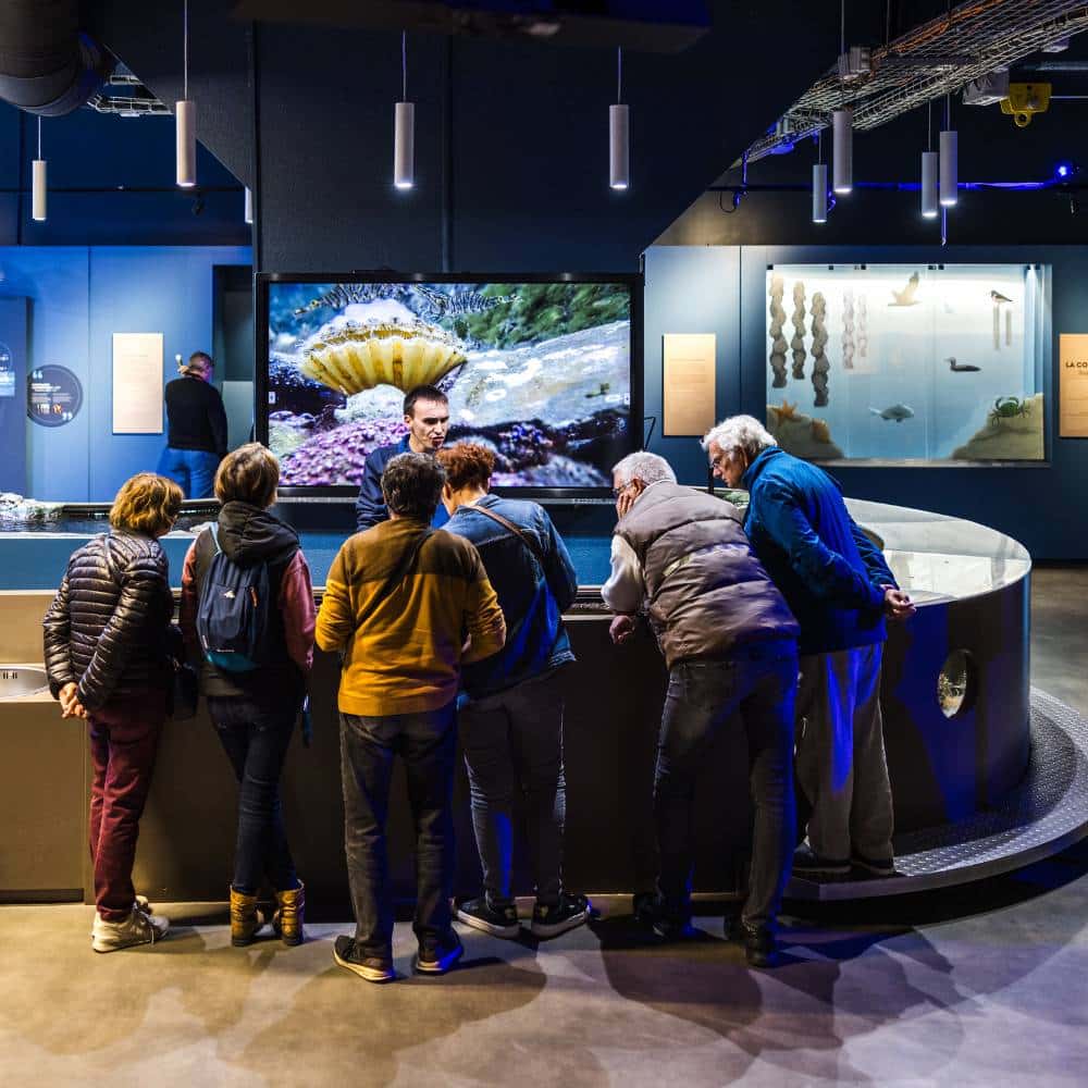 Abonnement Océanopolis Brest : animation au Pavillon Bretagne au Minilab avec un médiateur scientifique