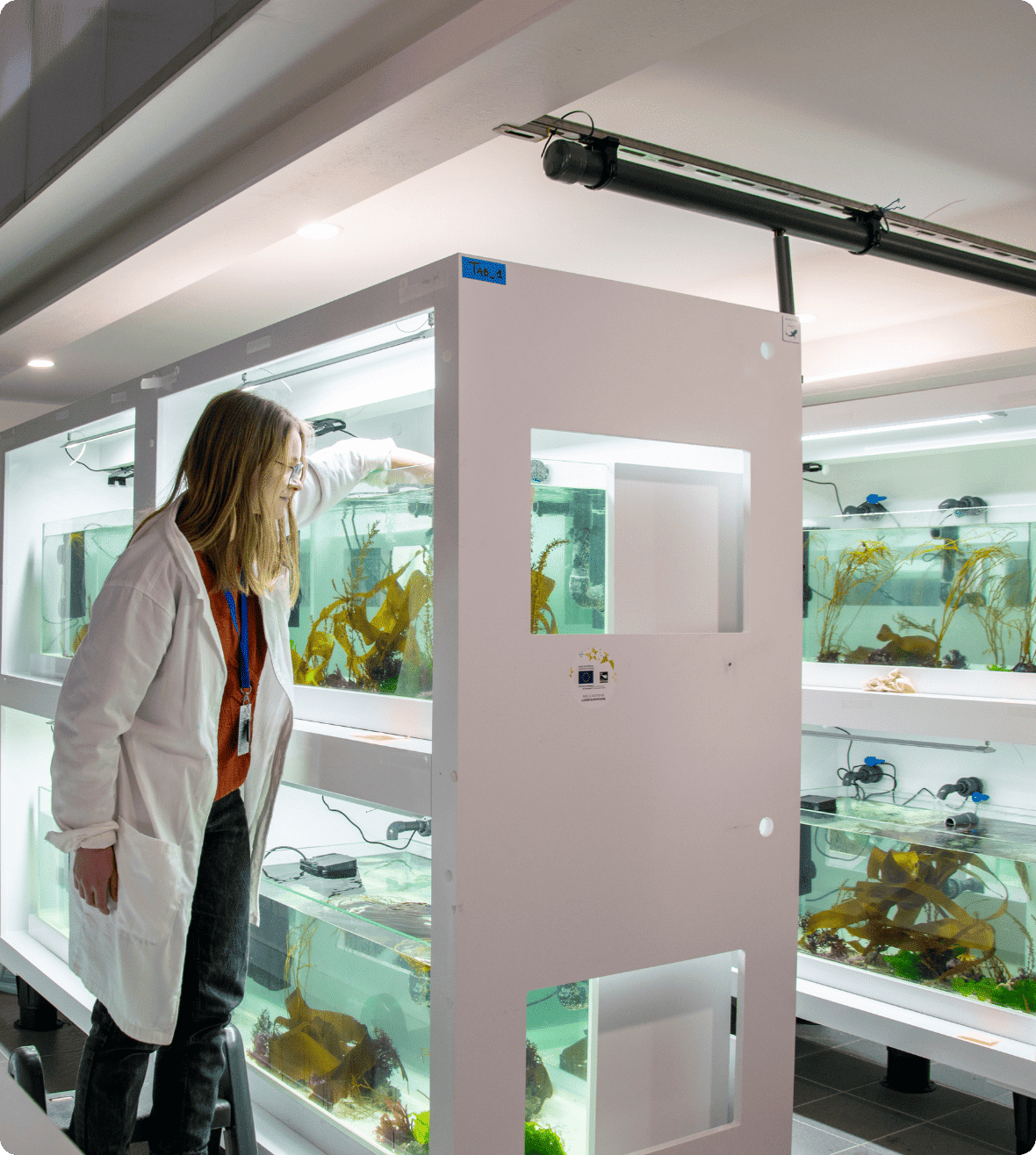 ALCID : new research project at Oceanolab - Océanopolis