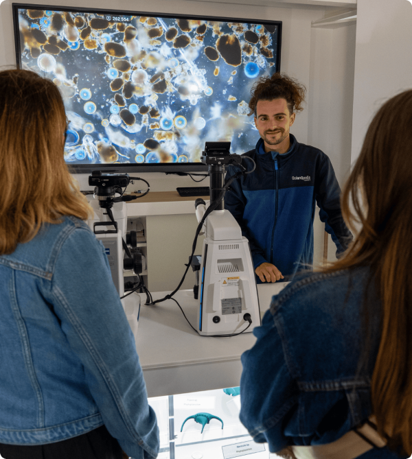 Animations à Océanolab avec un médiateur scientifique.
