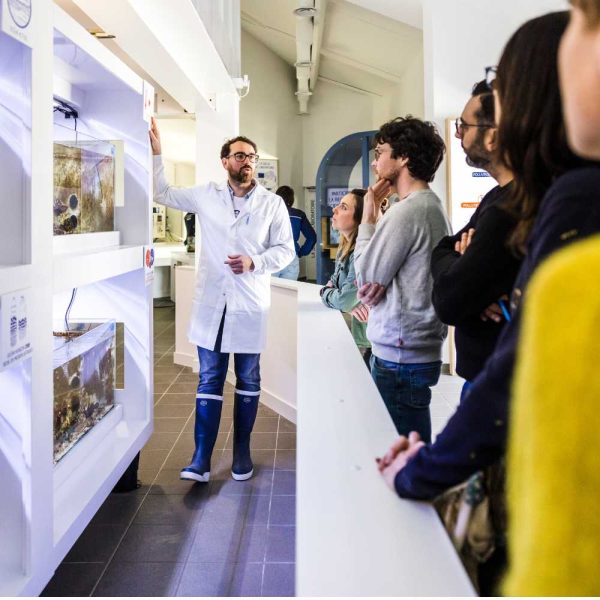 Océanolab, the first research laboratory open to the public at Océanopolis in Brest! The ALCID project (Algae, Climate, Invasives, Diversity) is a new experiment presented in 2026.