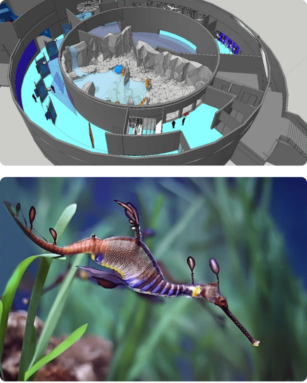 Vue d'architecte du Pavillon Austral d'Océanopolis et photo d'un dragon de mer.