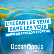 Nouveau pavillon tropical
