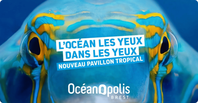 Visuel de réouverture du nouveau Pavillon Tropical d'Océanopolis
