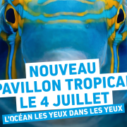 Informations pratiques
