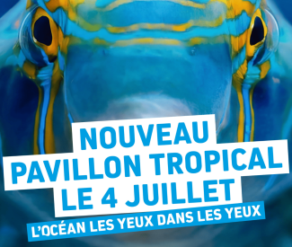Réouverture du Pavillon Tropical d&rsquo;Océanopolis