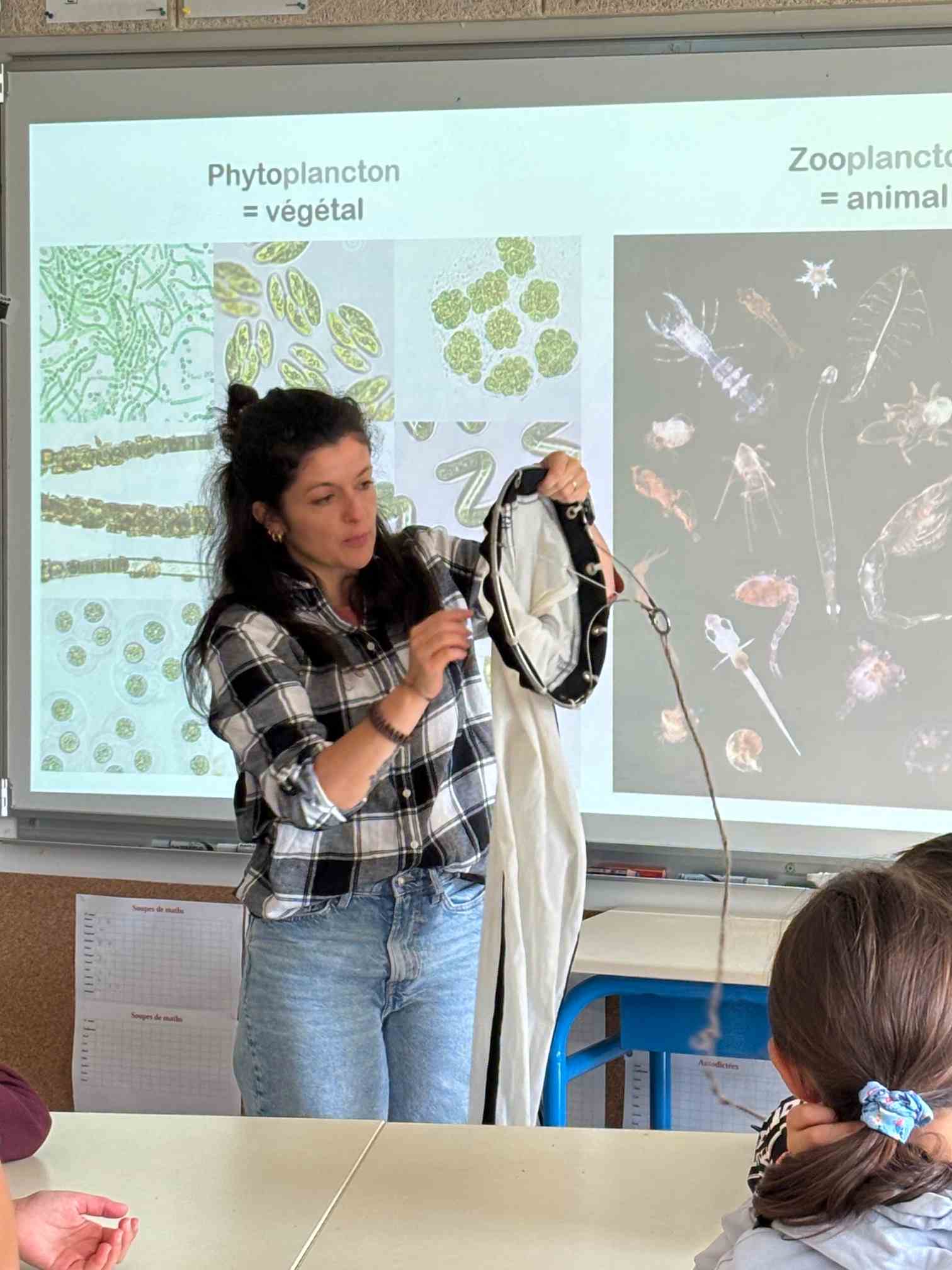 Intervention neige marine par Maeva Gesson - LEMAR dans la classe CM2 de l'Ecole Aber Benoît (Saint- -Pabu) © Sandrine Kervella