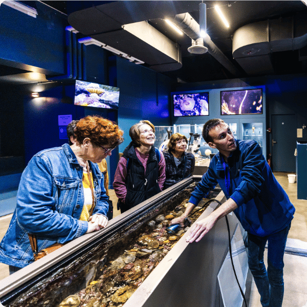 Les découvertes à la Station Bretagne à Océanopolis autour de l'animation hors période scolaire "Les architectes du littoral" avec médiateur scientifique.