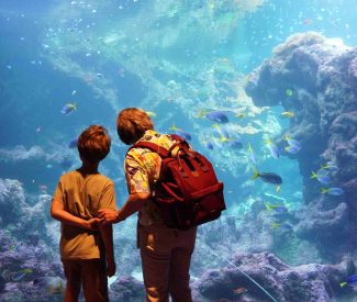 Nos animations hors vacances scolaires