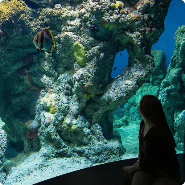 Der brandneue Tropen-Pavillon © Katia Quemere - Oceanopolis / Kommissar Dupin Océanopolis Brest